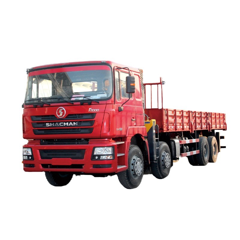 SHACMAN Manufacturers F3000 Camions-grues de transport à vendre